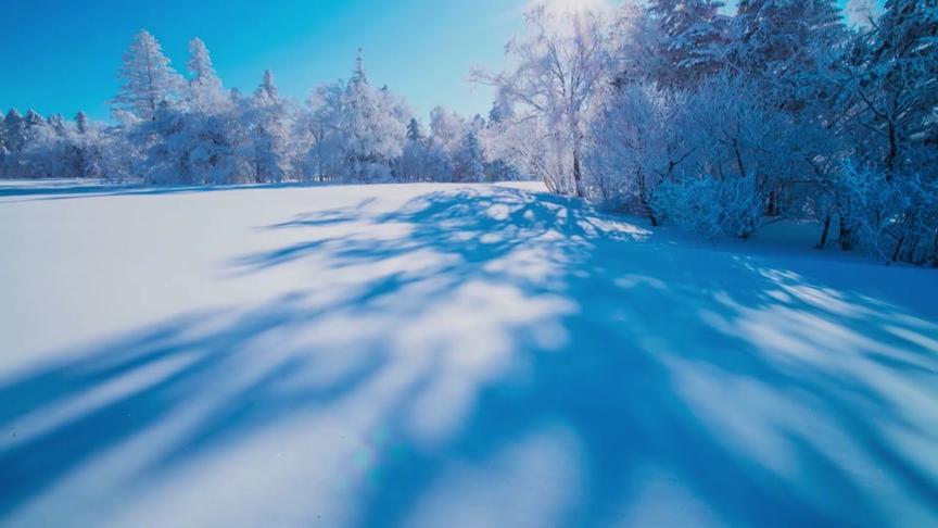 [图]最美的雪花飘落在吉林