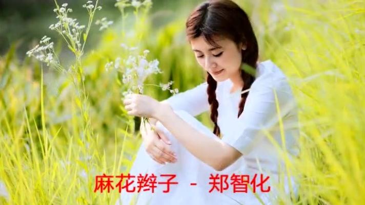 [图]郑智化《麻花辫子》，超级好听