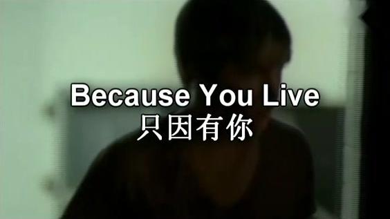 [图]欧美经典「Jesse.McCartney：Because You Live（只因有你）」