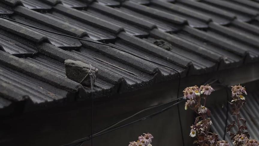 [图]屋檐上雨水声，放松心情失眠的人听将很快就入睡，冥想感悟人生