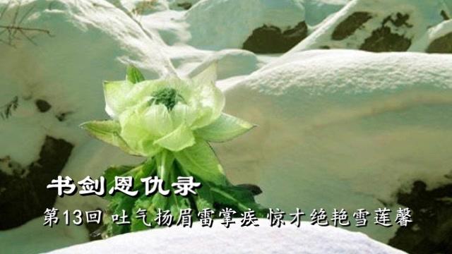 [图]金庸首部武侠小说《书剑恩仇录》第十三回，原著朗读，音频格式