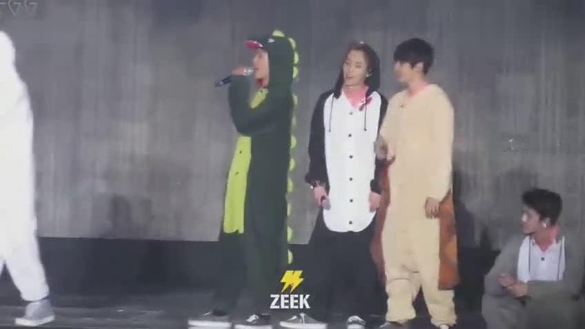 Exo成员对应的动物 西瓜视频搜索