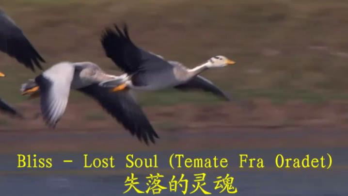 [图]失落的灵魂（Lost Soul ）