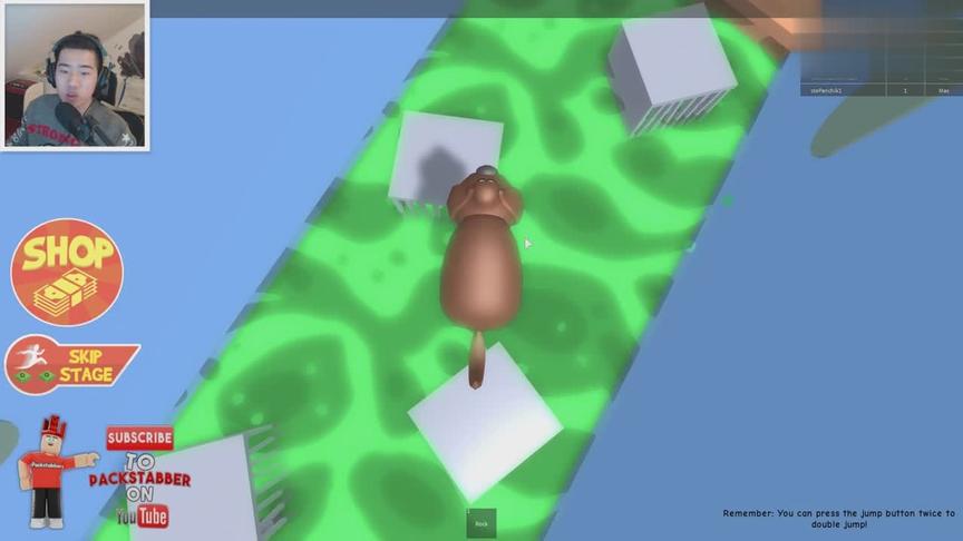 [图]Roblox爱宠大机密 可爱狗狗流浪记下水道大战巨蟒