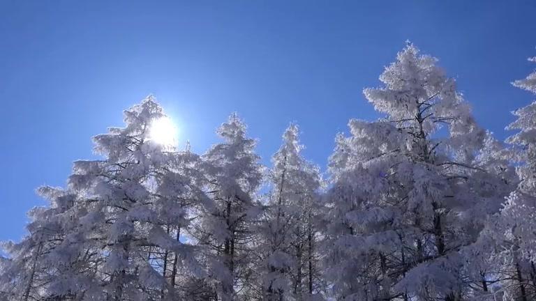 [图]古琴笛箫《落雪听禅》曲境幽深,纯净似冰！