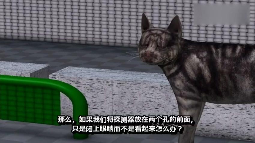 [图]猴子都能明白的量子力学：用简单明了的动画来解释量子物理学