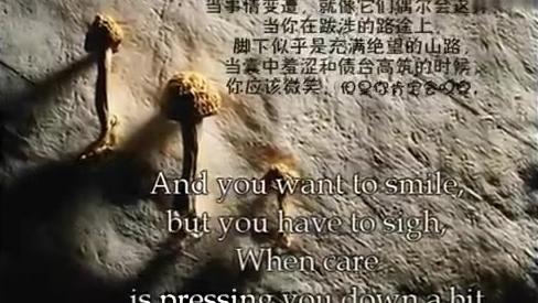 [图]经典英文朗诵《you must not quit》