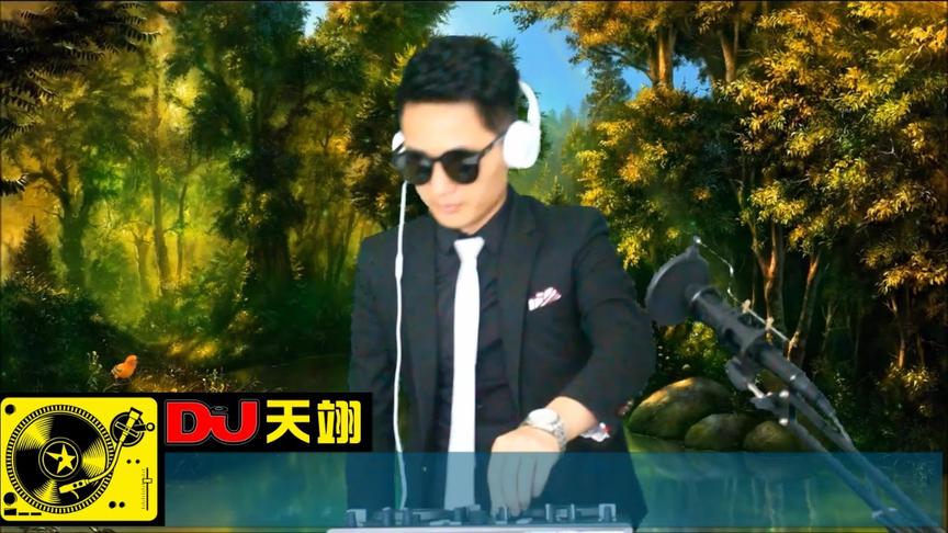 [图]火爆DJ2019，热播流行嗨曲《长途驾车伴侣》，一路醒神电音热碟！