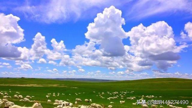 [图]锡林郭勒大草原