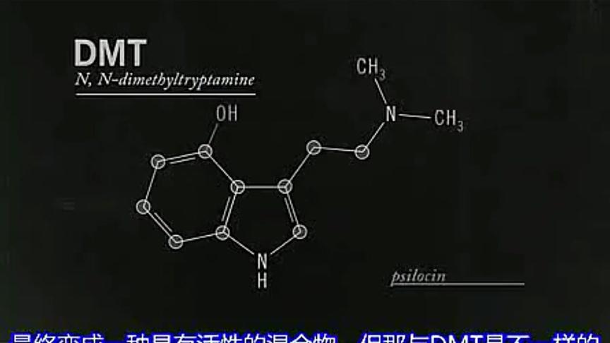 [图]通灵神药DMT｜精神分子（the spirit molecule）（一）