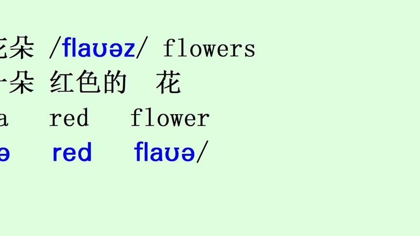 [图]路边有很多花朵，flower/flauə/,看到花，你要用英语多表达，学习在于运用