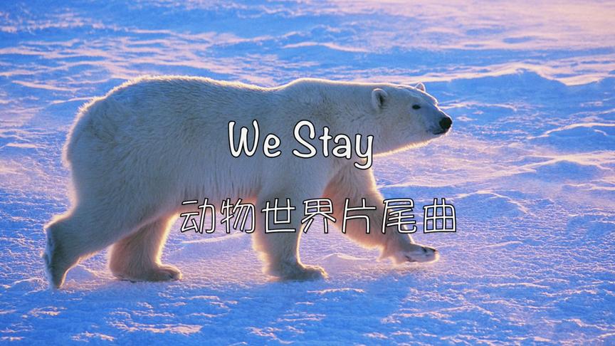 [图]「電吹管之電吉他」动物世界We Stay「安頤爸爸音樂會」