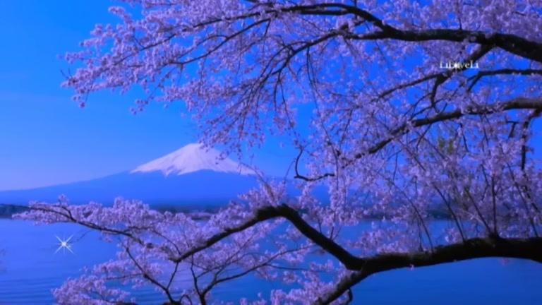 [图]Blue…… The Color Of Dreams，安静