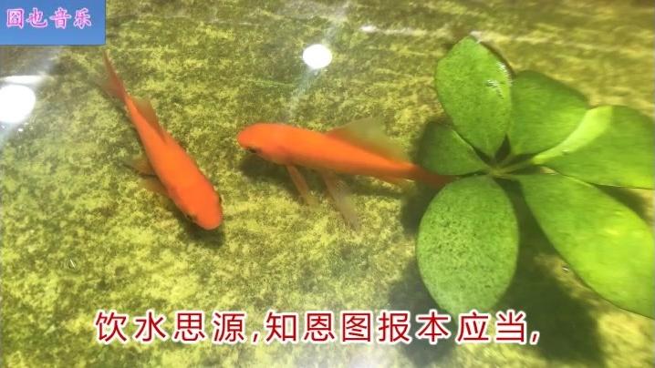 [图]9.10教师节一首《感恩恩师》送给亲爱的老师您辛苦了