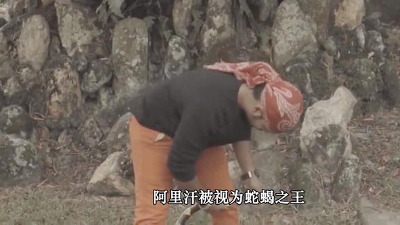 《纪录片》_10个被“宠物”杀死的主人，宠物也不愿意当“宠物”