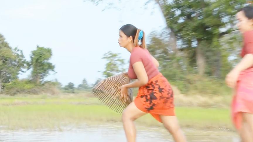 缅甸美女田野抓鱼