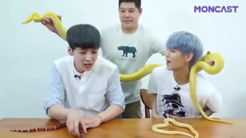 Exo成员代表的动物 西瓜视频搜索