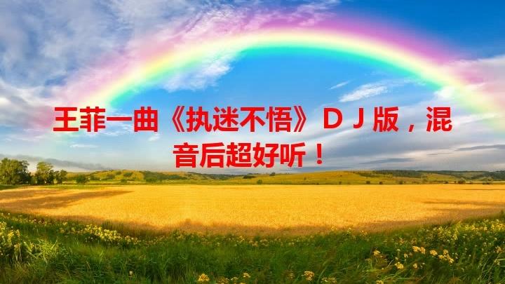 [图]王菲一曲《执迷不悟》DJ版