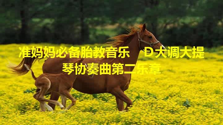 [图]准妈妈必备胎教音乐 D大调大提琴协奏曲第二乐章