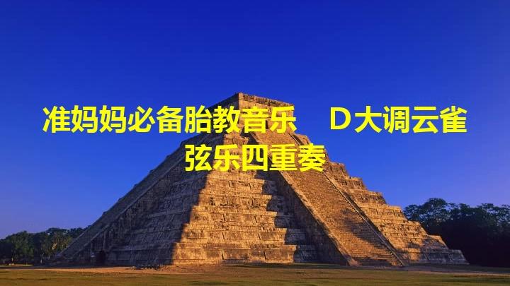 [图]准妈妈必备胎教音乐 D大调云雀弦乐四重奏