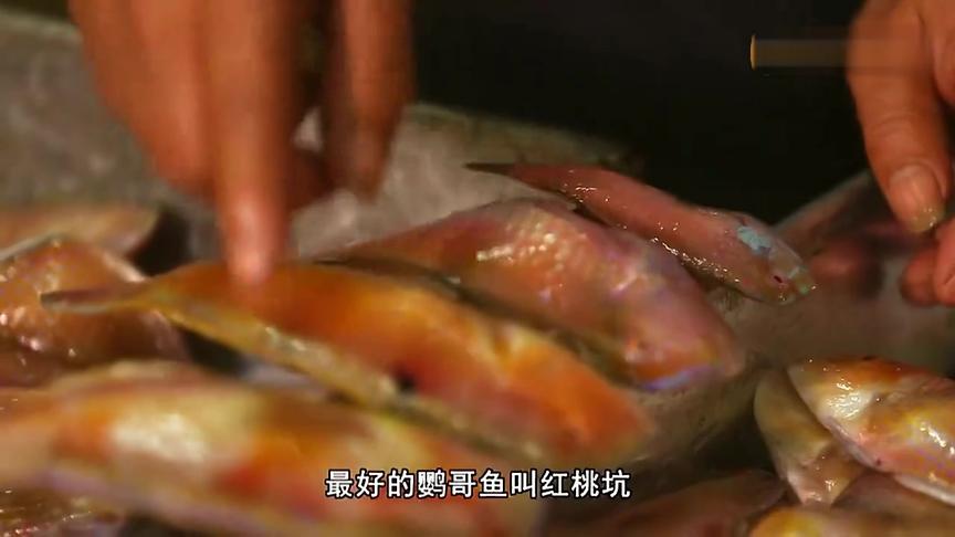 [图]舌尖上的中国：潮汕海鲜 美食速递 鲜味十足