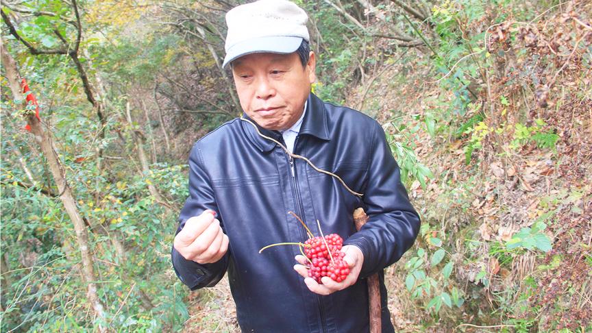 [图]翻山越岭六小时探秘千岛湖原始森林峡谷秘境结果却不想回家了?