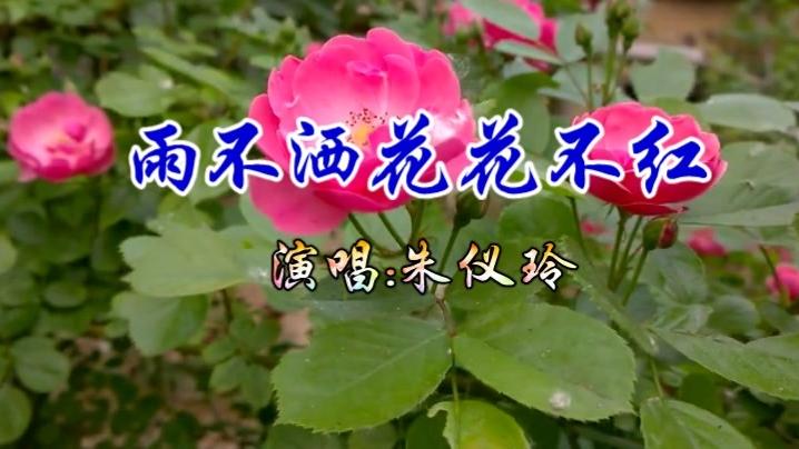 [图]一首经典情歌《雨不洒花花不红》好听极了