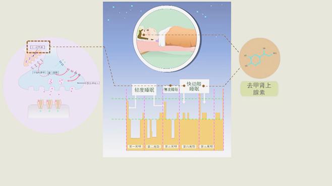 [图]除了安眠药还有这几种中成药可以改善失眠 其中一种大家很熟悉