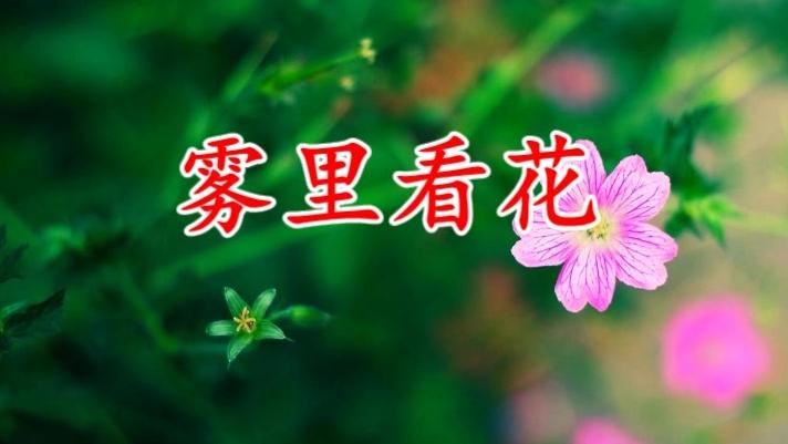 [图]一首经典歌曲《雾里看花》现在听还是特别好听