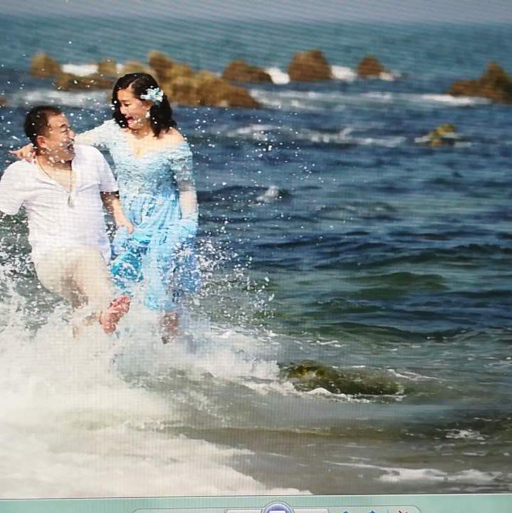 智慧海燕lo头像