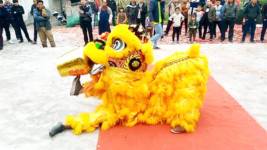 [图]广西玉林西洋塘村醉狮表演，场面热闹，老祖宗留下的艺术，太精彩