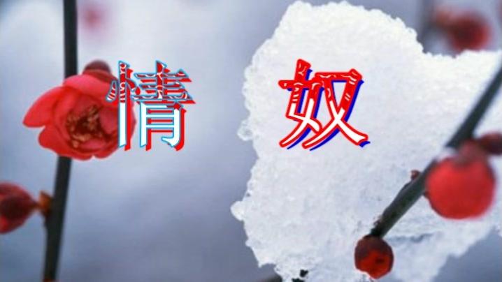 [图]《情奴》，心甘情愿的付出，只为和你一生相守 幸福白头