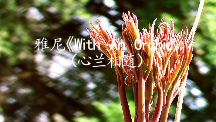 [图]雅尼《With An Orchid》（心兰相随）