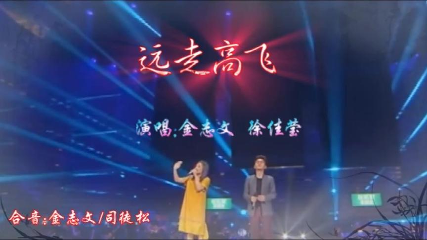 [图]音乐混剪mv《远走高飞》，演唱：金志文、徐佳莹！