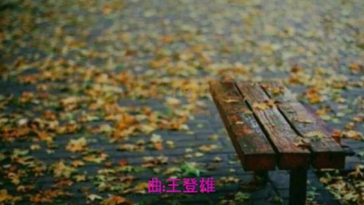 [图]张行这首《梧桐雨》，单曲循环了好几天，忍不住分享给大家！