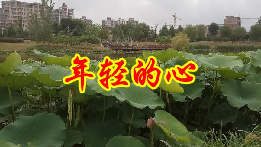 [图]励志歌曲《年轻的心》唱出了在困难面前，要无所畏惧勇敢面对！