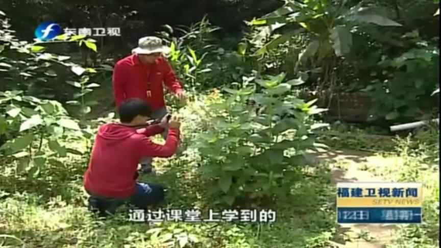 [图]福建农大学生拍万张照，建校植物图谱