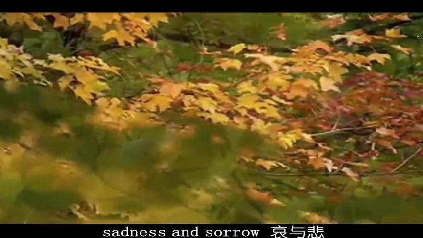 [图]日本电视动画《火影忍者》经典配乐《Sadness And Sorrow哀与悲》