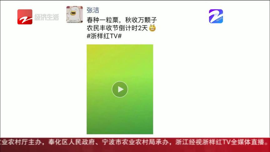 [图]主播朋友圈：春种一粒粟，秋收万颗子