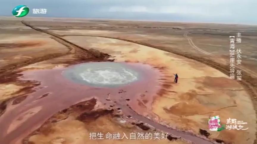 [图]大地的眼睛里，存在着最纯洁的想象，心无旁骛地呐喊感受天地灵气