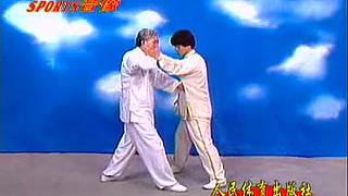 [图]三皇炮捶拆拳