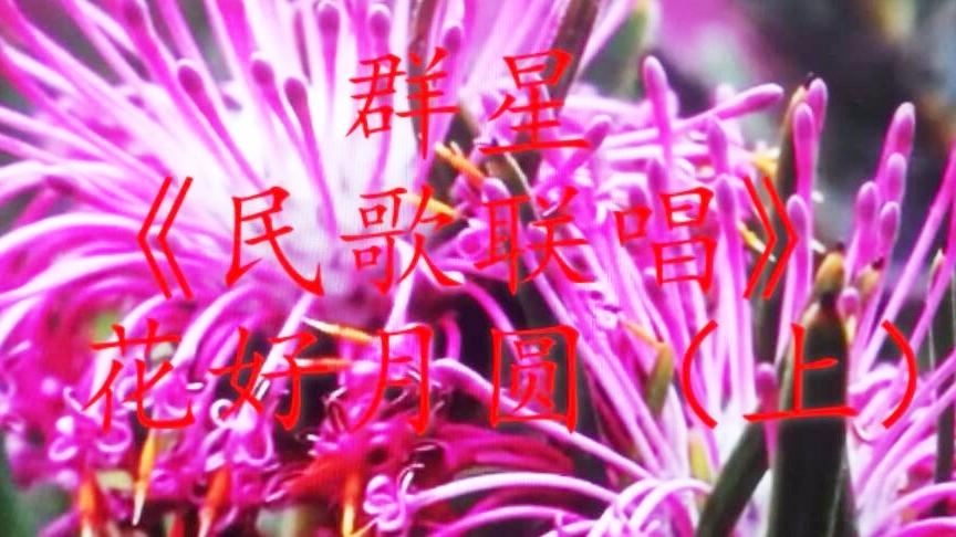 [图]群星/《好歌四十首联歌》花好月圆（上）阿莲等九首，打开看看