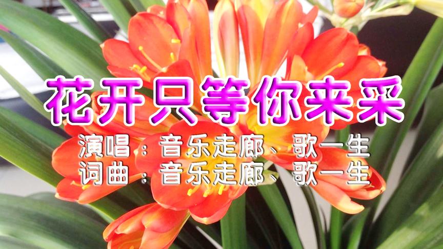 [图]亲爱的，今生只把你来爱《花开只等你来采》