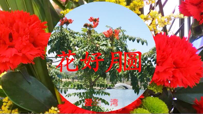 [图]《好歌四十首联唱》花好月圆、阿莲等，太好听了，打开看看