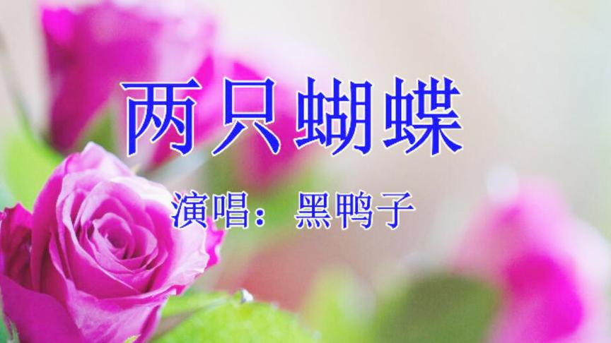 [图]黑鸭子一首《两只蝴蝶》经典旋律，好听醉人