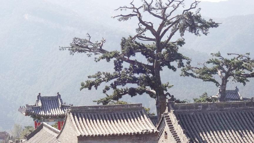 [图]航拍中阳柏洼山