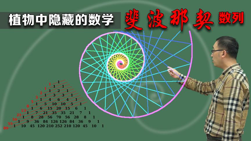 [图]你知道植物中隐藏的数学吗？李永乐老师讲神奇的斐波那契数列