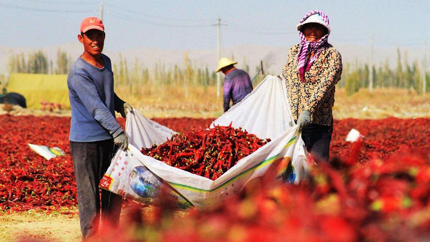 [图]中国3分钟｜农民丰收节：重拾农耕记忆 助力乡村振兴