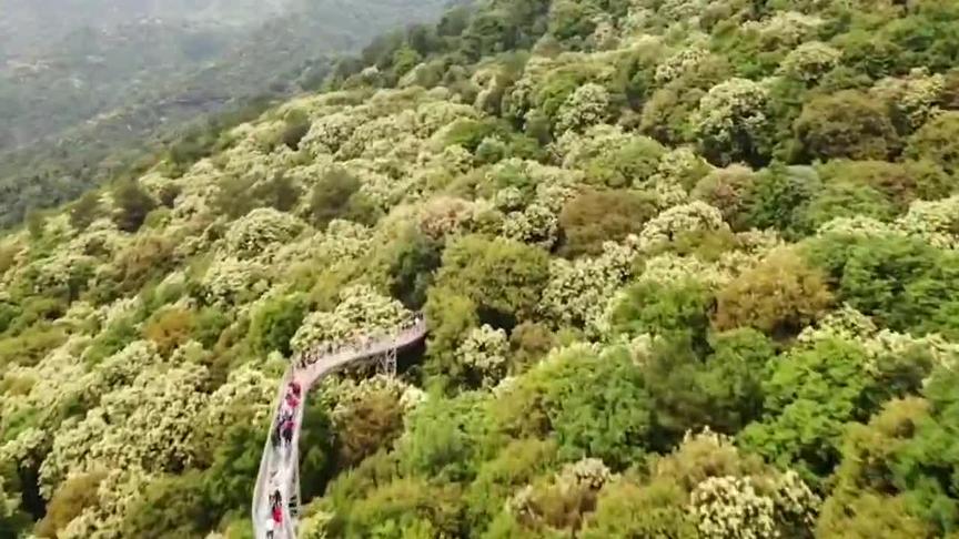 [图]江西乡村“花期”变长了