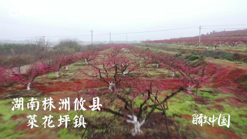 [图]瞰中国｜花都开好了